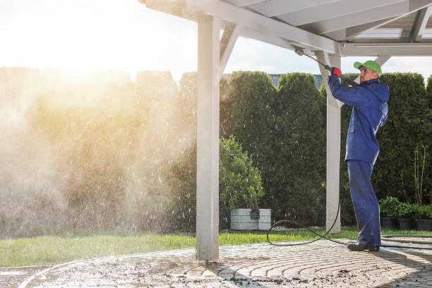 Best Gutter Cleaning  in Homestead Meadows South, TX