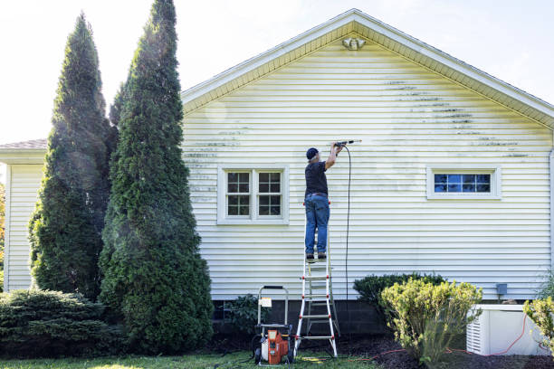 Professional Pressure Washing Services in Homestead Meadows South, TX