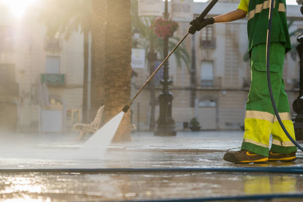 Best Sidewalk and Walkway Cleaning  in Homestead Meadows South, TX